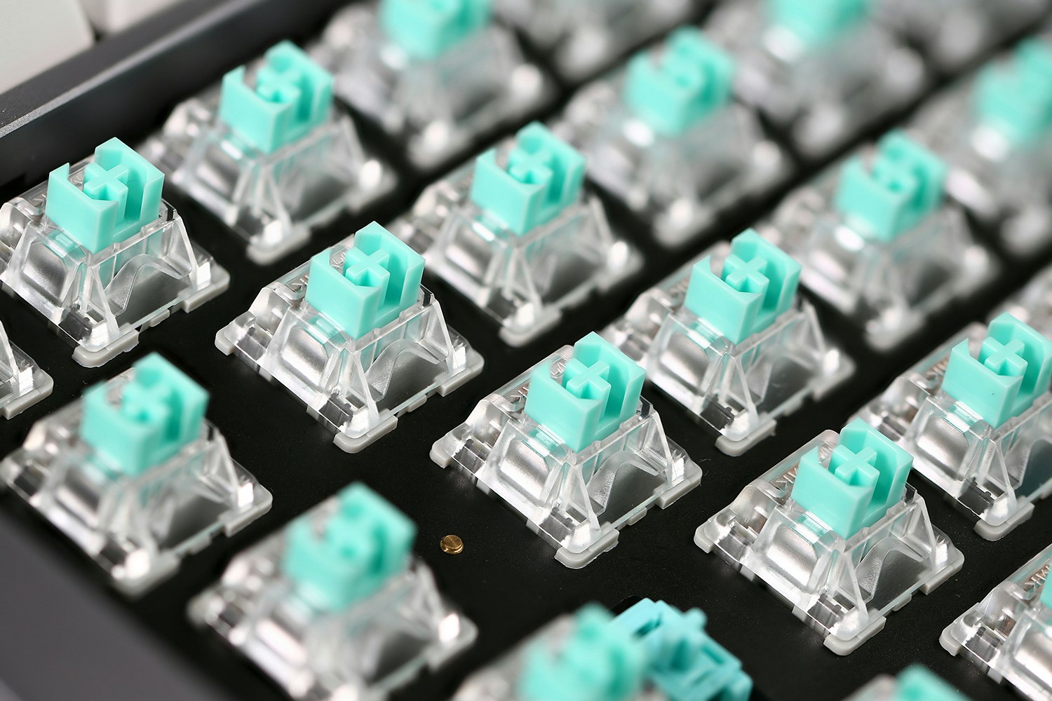 MOMOKA Frog Linear Custom Mechanical Switches | Mechanical Keyboards ...