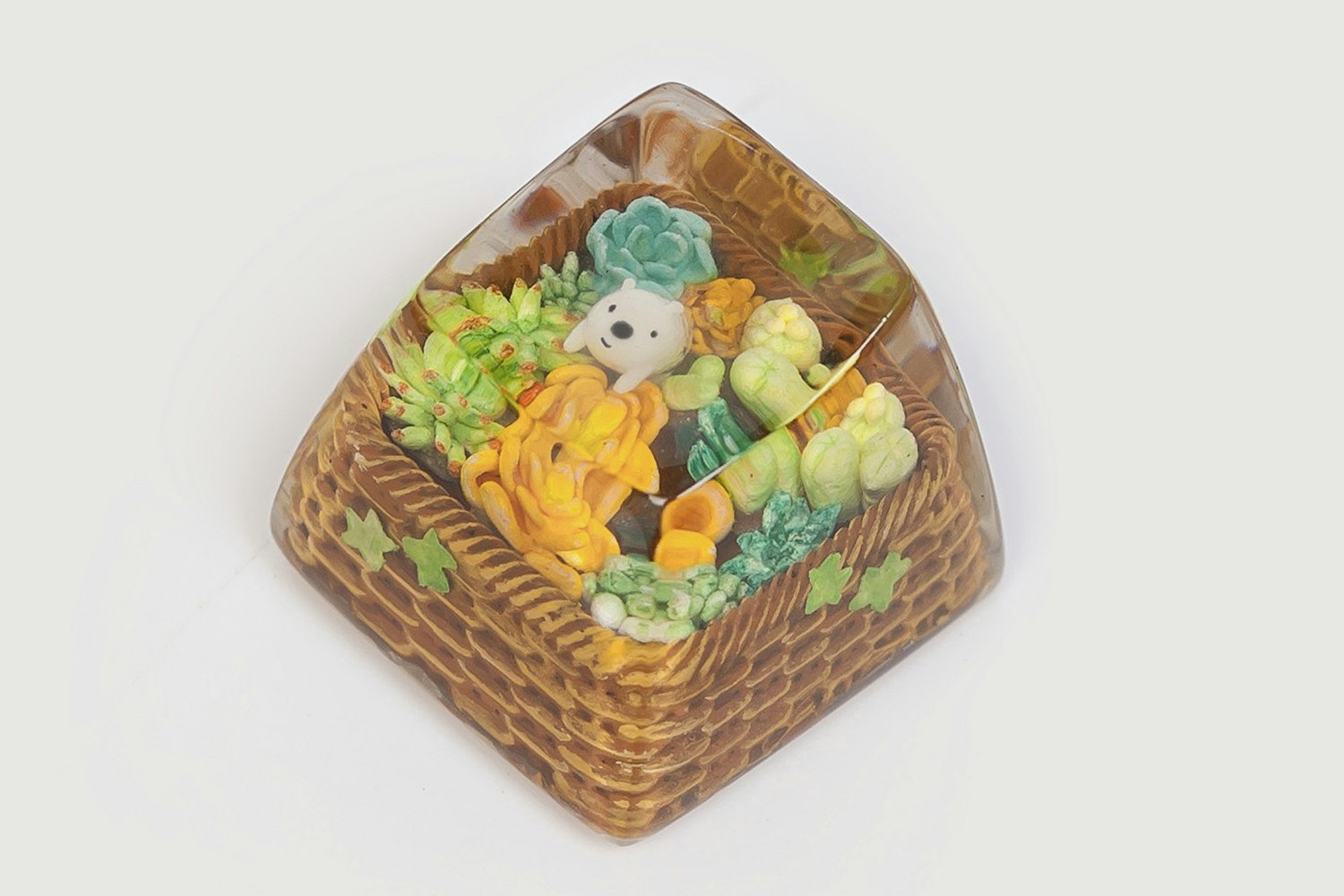 Dilwyn Brown - SA RA 1