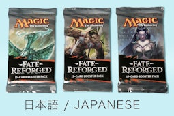 Fate Reforged in Japanese