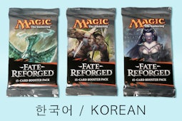 Fate Reforged in Korean