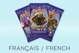 Journey Into Nyx in French
