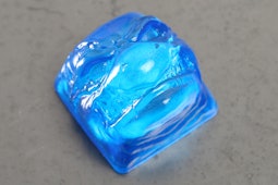 Clear Colored: Blue Turtle
