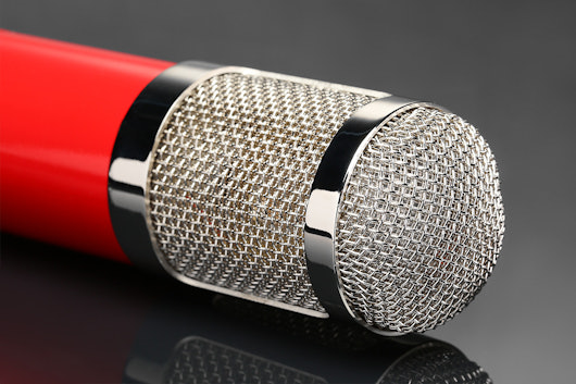 MXL 550/551 Microphone Ensemble