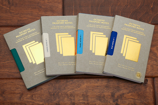 Octaevo Passport Notes Collection (3-Pack)