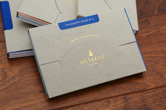 Octaevo Passport Notes Collection (3-Pack)
