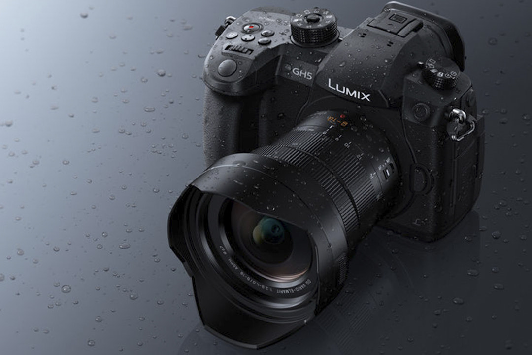 Panasonic Leica Vario-Elmarit 8–18mm f/2.8–4 Lens