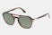Havana Sunglasses -Tempered - Green - Havana