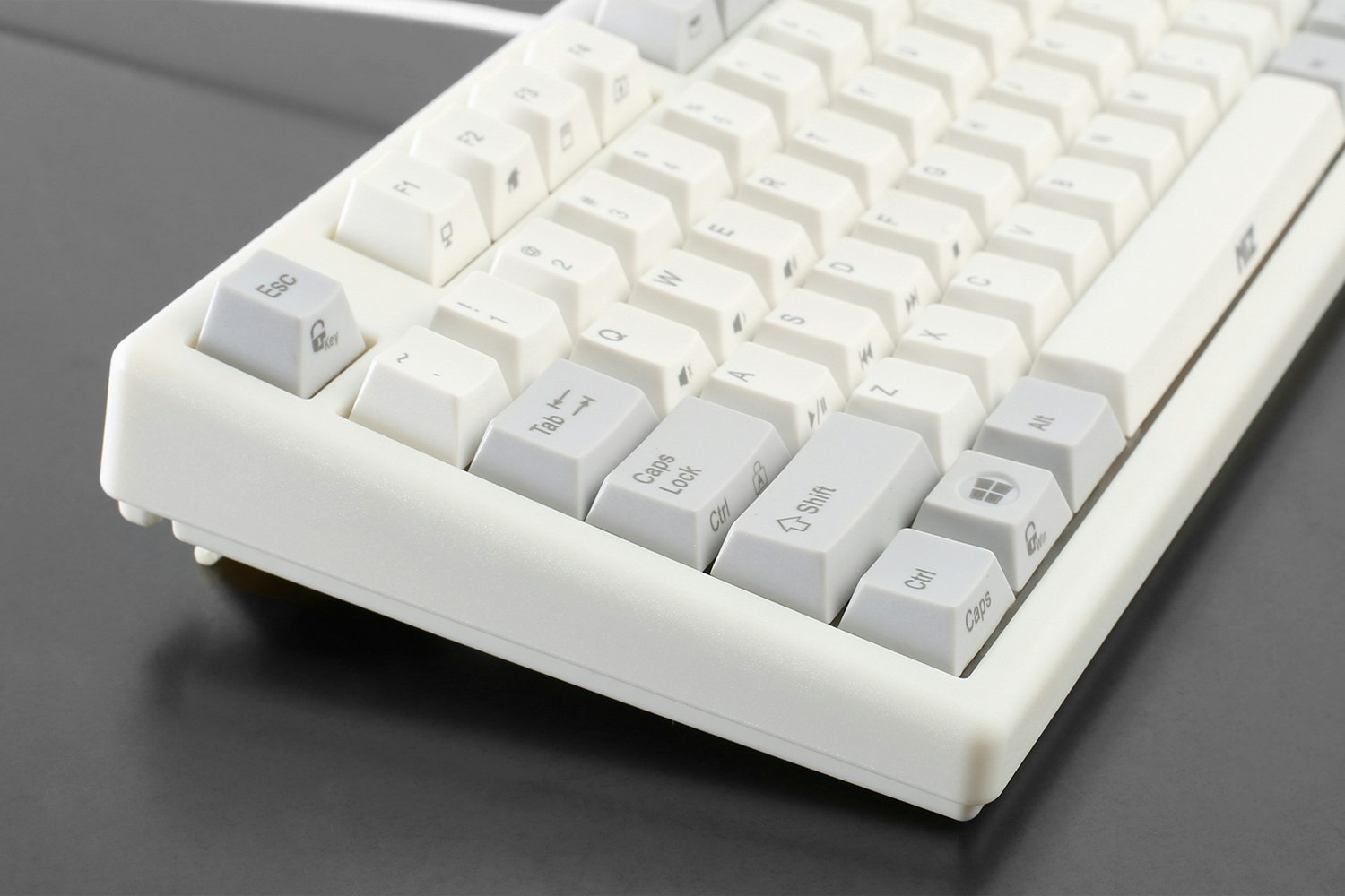 Plum 87 ElectroCapacitive Keyboard Mechanical Keyboards TKL