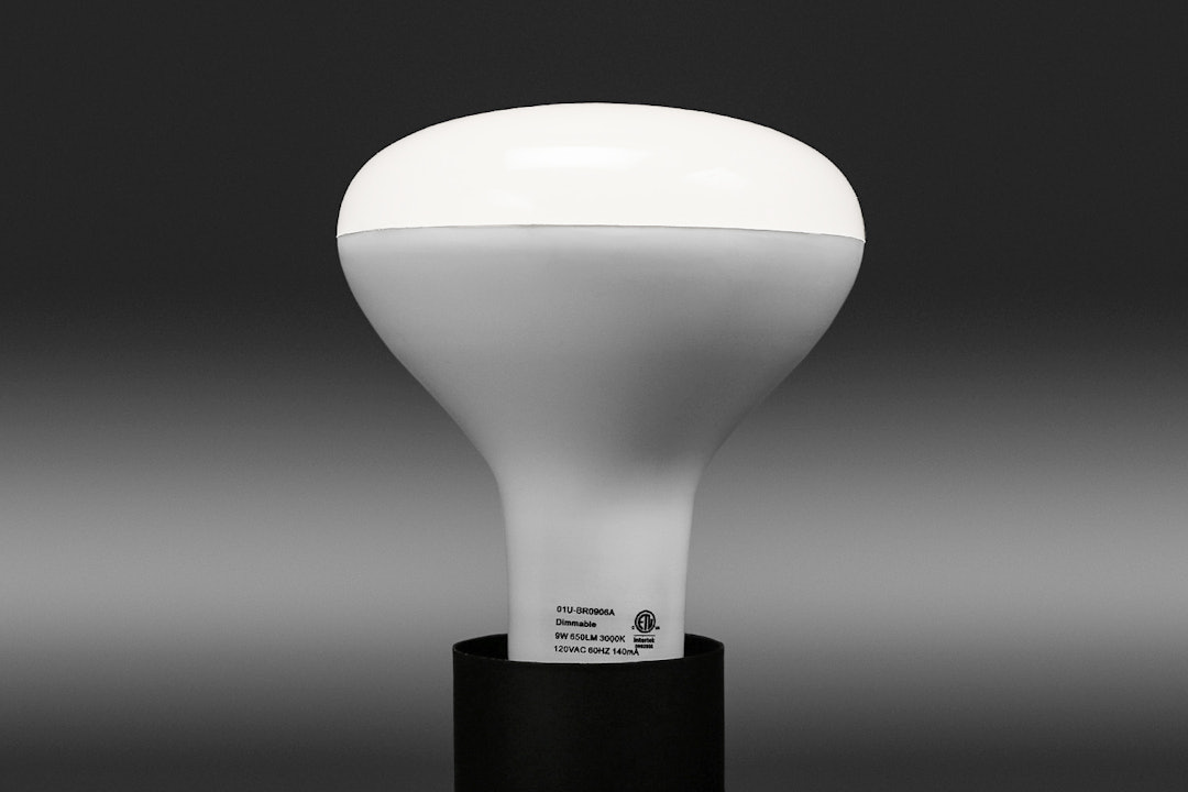 Pro HT LED BR30 Soft White Light Bulbs (2-Pack)