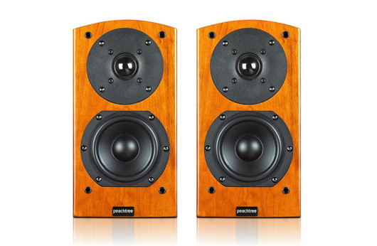 Peachtree Audio D4 Passive Speakers