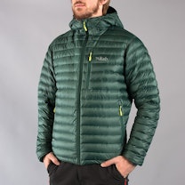 Men's Alpine Jacket, fir/lime