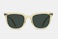 Champagne crystal/green polarized (+ $15)