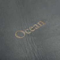 Leather | Ocean