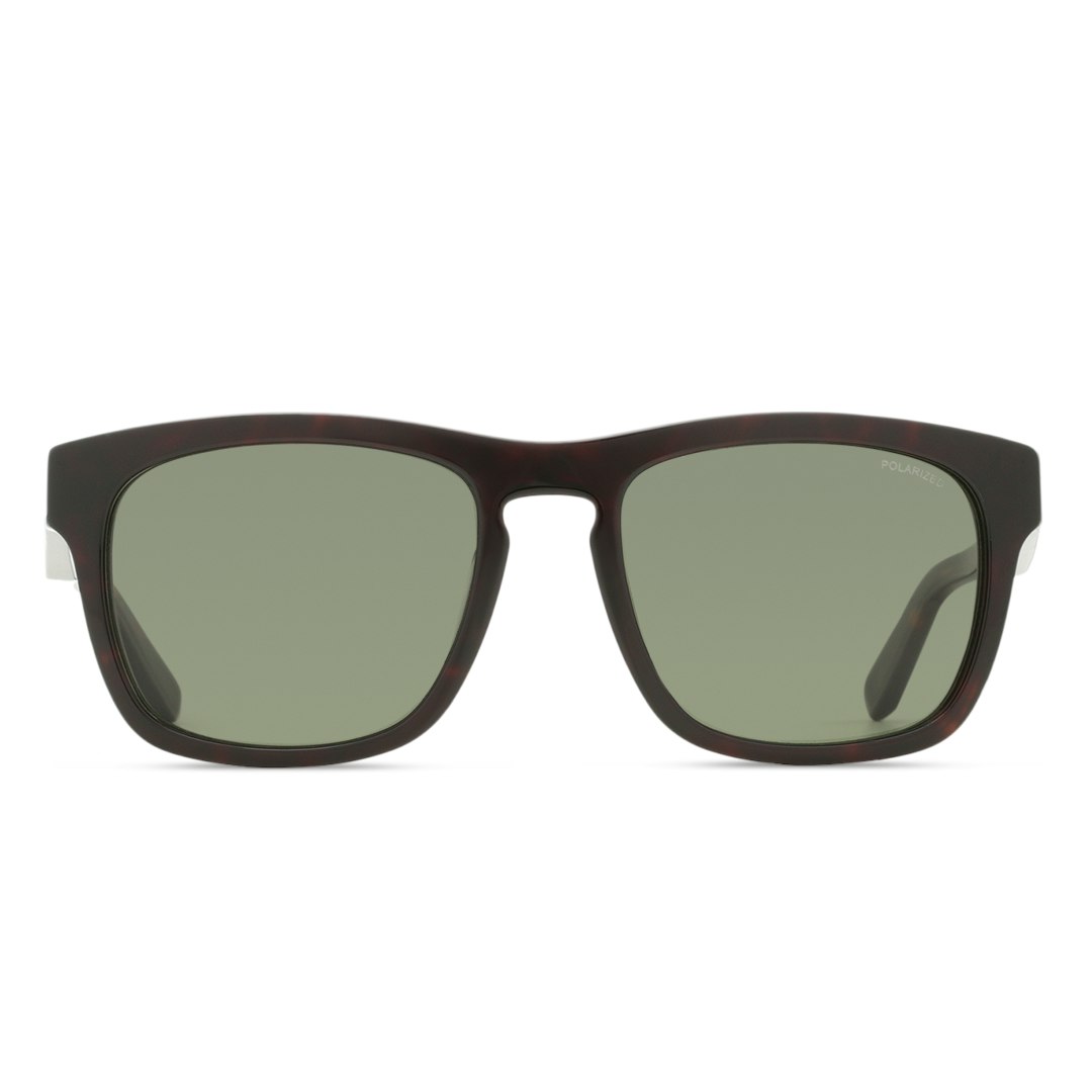 salvatore ferragamo polarized sunglasses