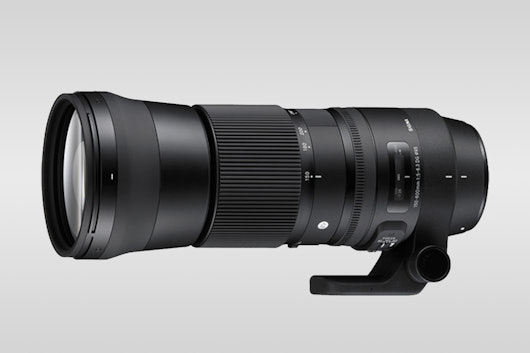 Sigma 150–600mm F5–6.3 Contemporary DG OS HSM Lens