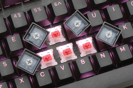 Smart Duck XS87 RGB TKL Mechanical Keyboard