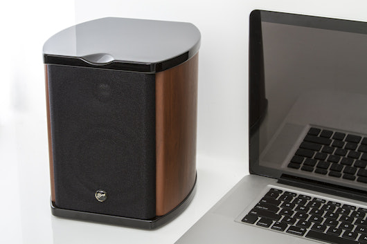 Swan M100 MKII Speakers