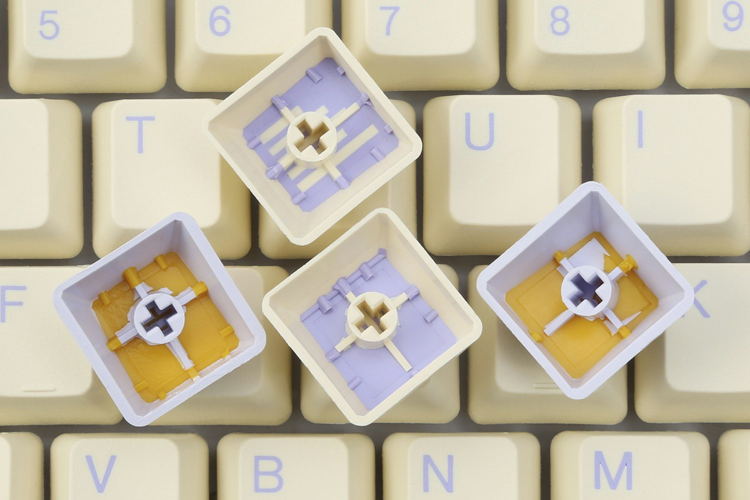 Tai-Hao Paradise PBT Keycap - Massdrop Exclusive