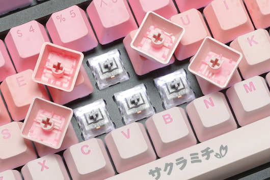 Tai-Hao Sakura Michi PBT Backlit Keycap Set