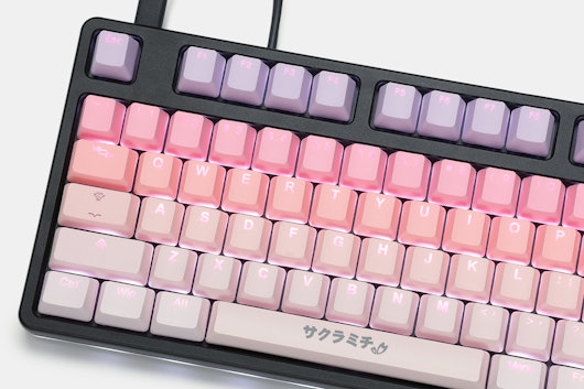 Tai-Hao Sakura Michi PBT Backlit Keycap Set