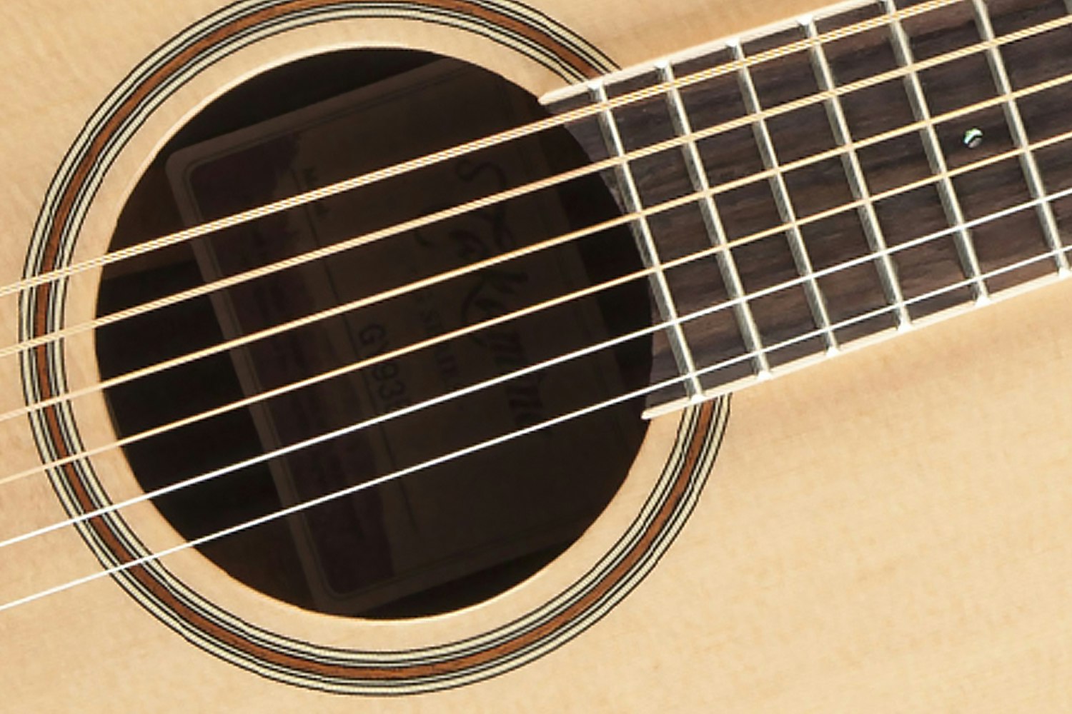 Takamine GF and GN 93 Series Guitar