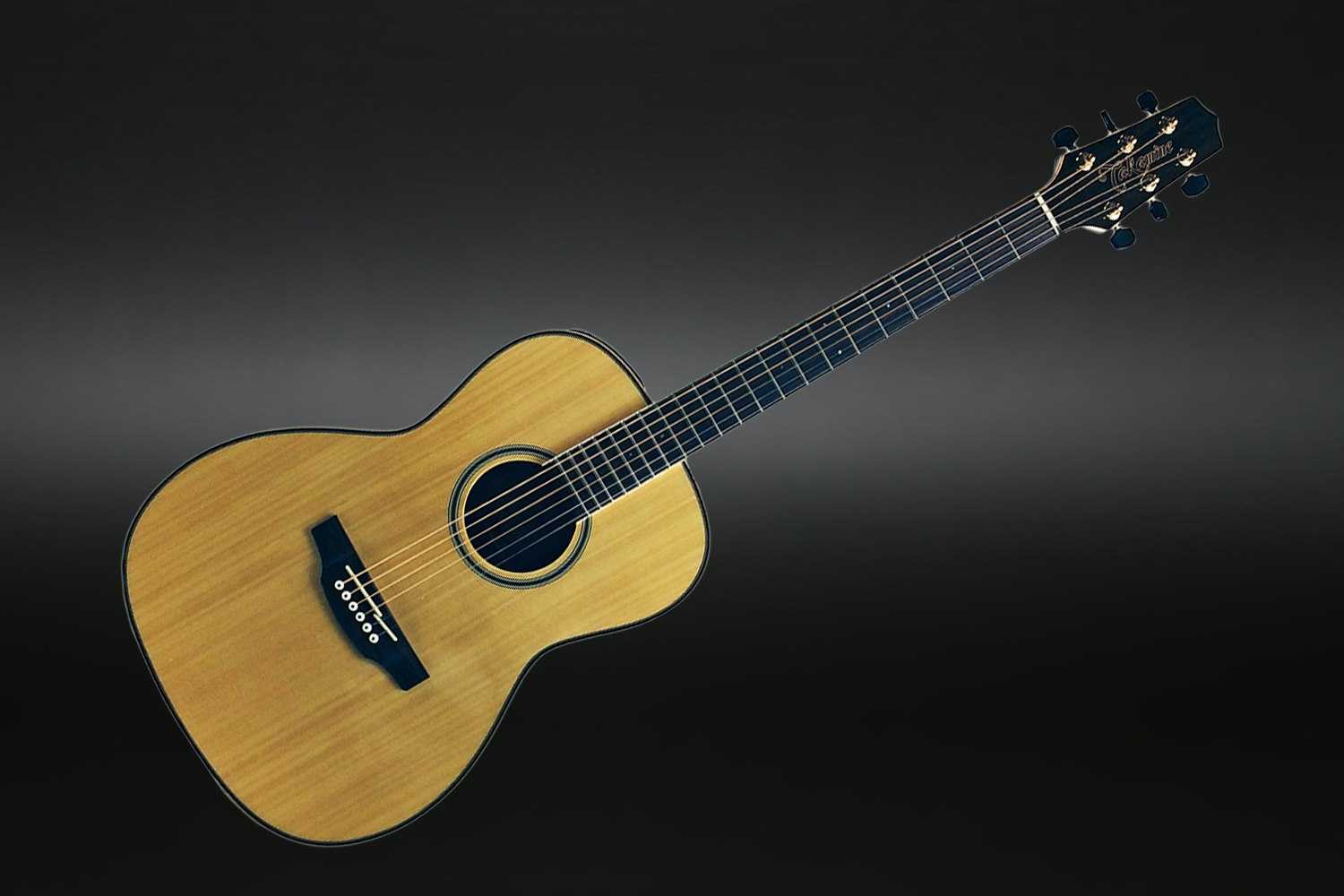 Takamine GY93E