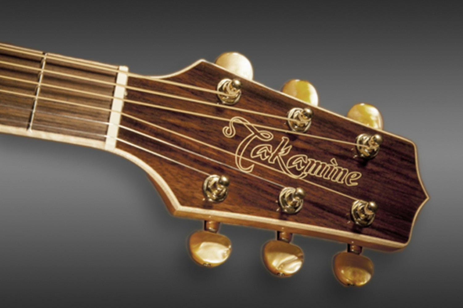 Takamine B Stock GN71CE Acoustic Guitar