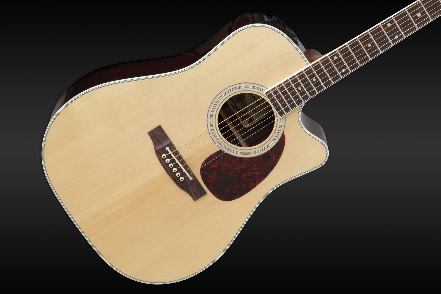 Takamine Legacy Series EF360SC Acoustic Guitar Audiophile