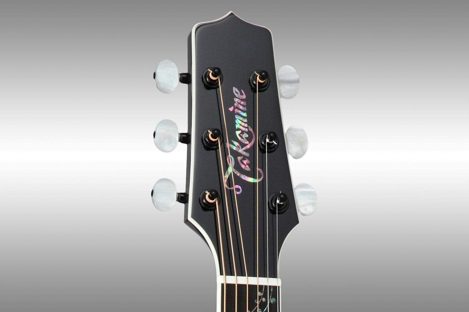 Takamine LTD 2015 Renge-So Guitar