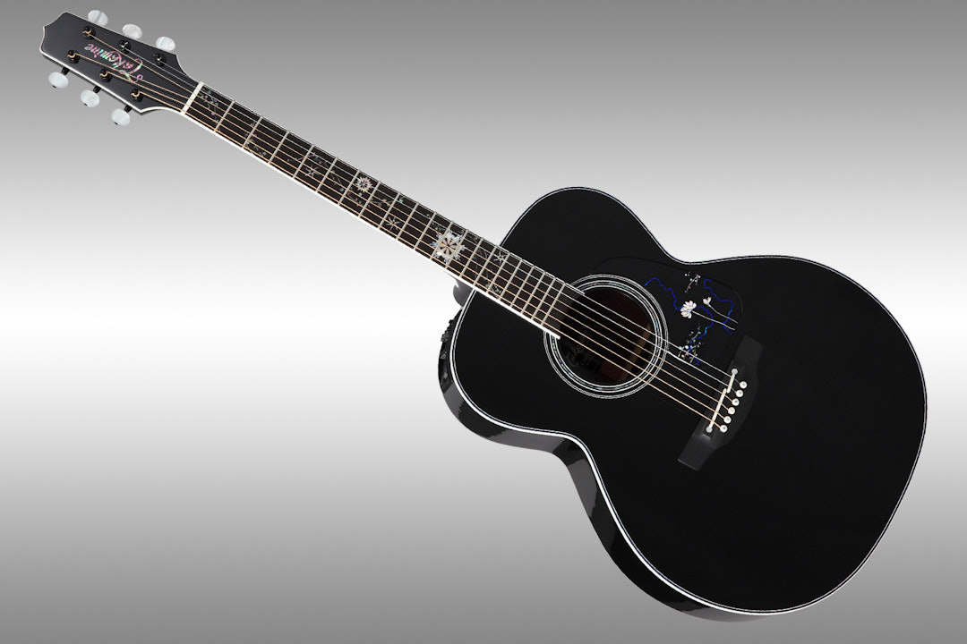 Takamine LTD 2015 Renge-So Guitar