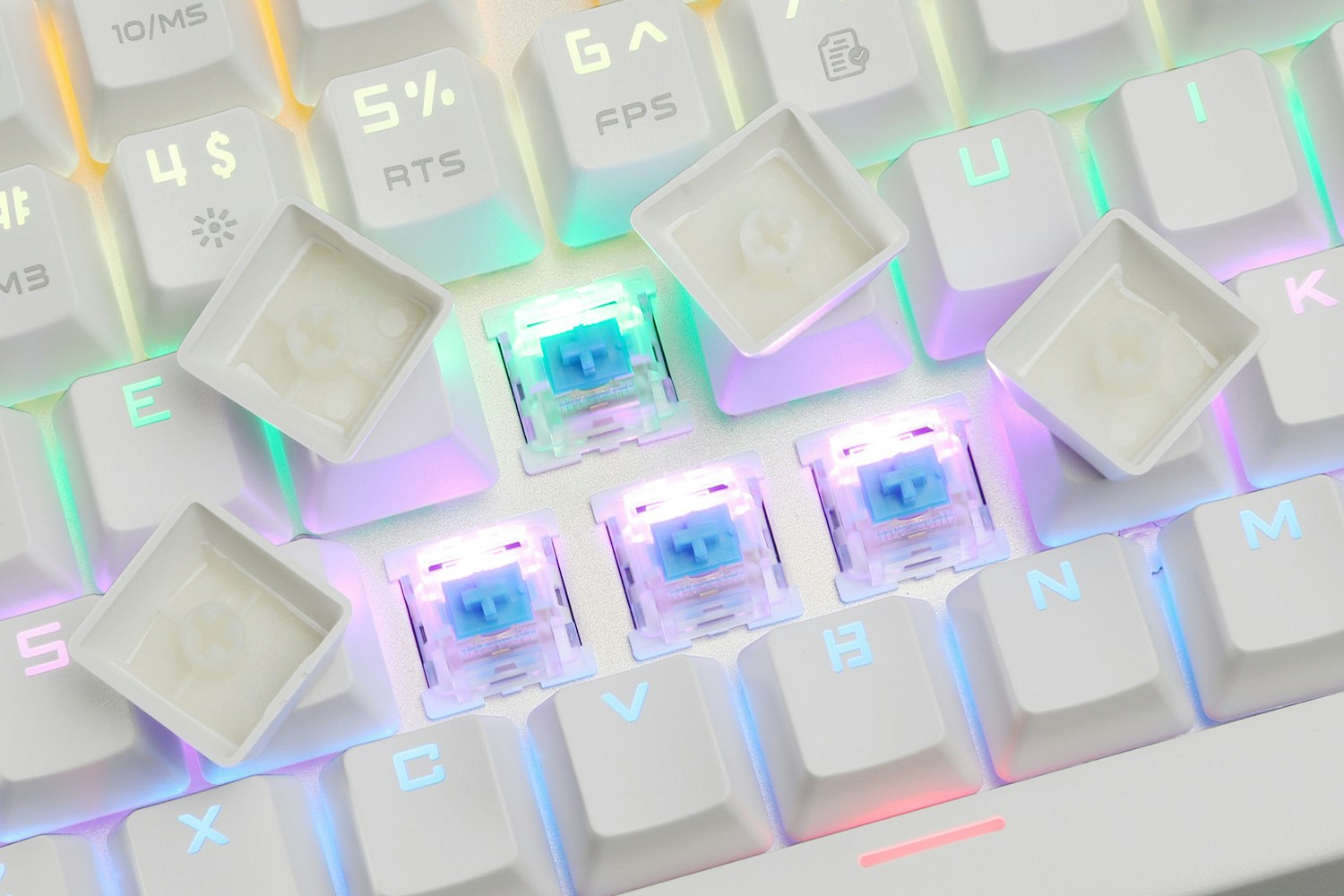 Team Wolf TKL Swappable Switch Mechanical Keyboard