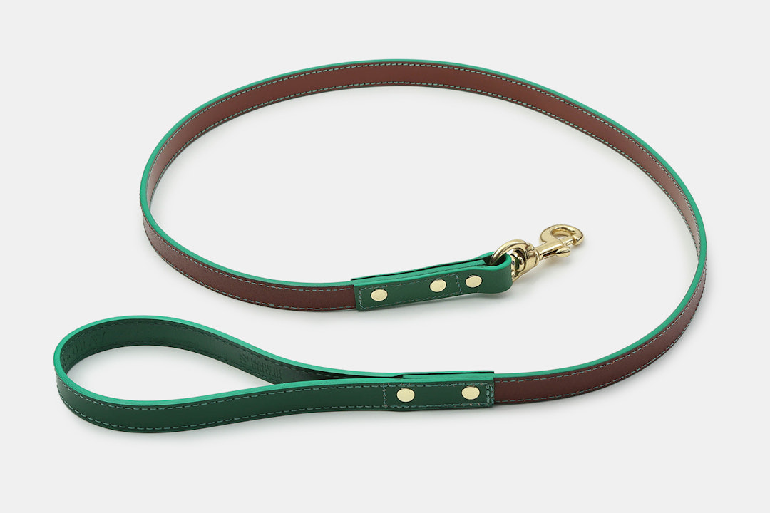 The British Belt Co. Dog Collar & Lead