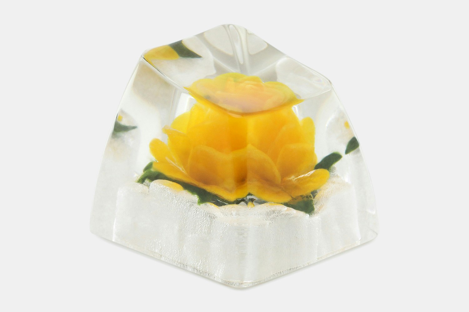 Rosa Anneliese Rothenburger