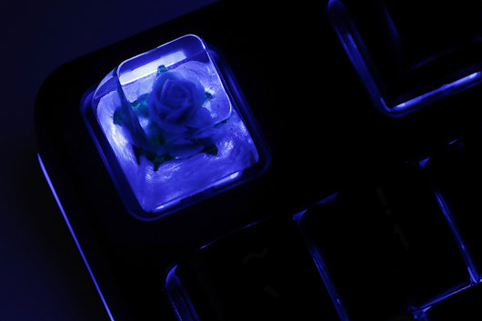The Eye Key Rose Resin Artisan Keycap