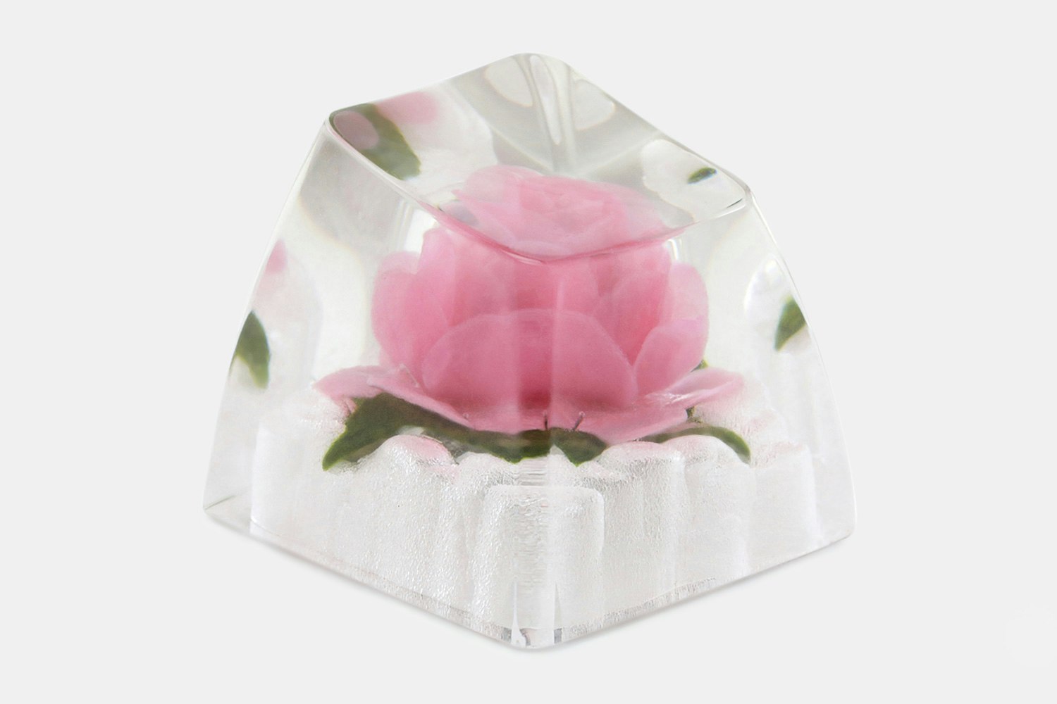 Rosa "Queen Elizabeth"