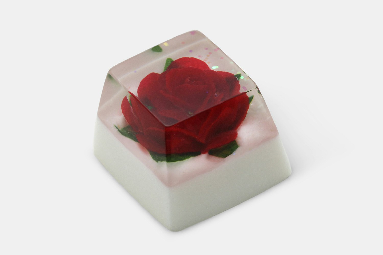 OEM - Rosa Chinensis