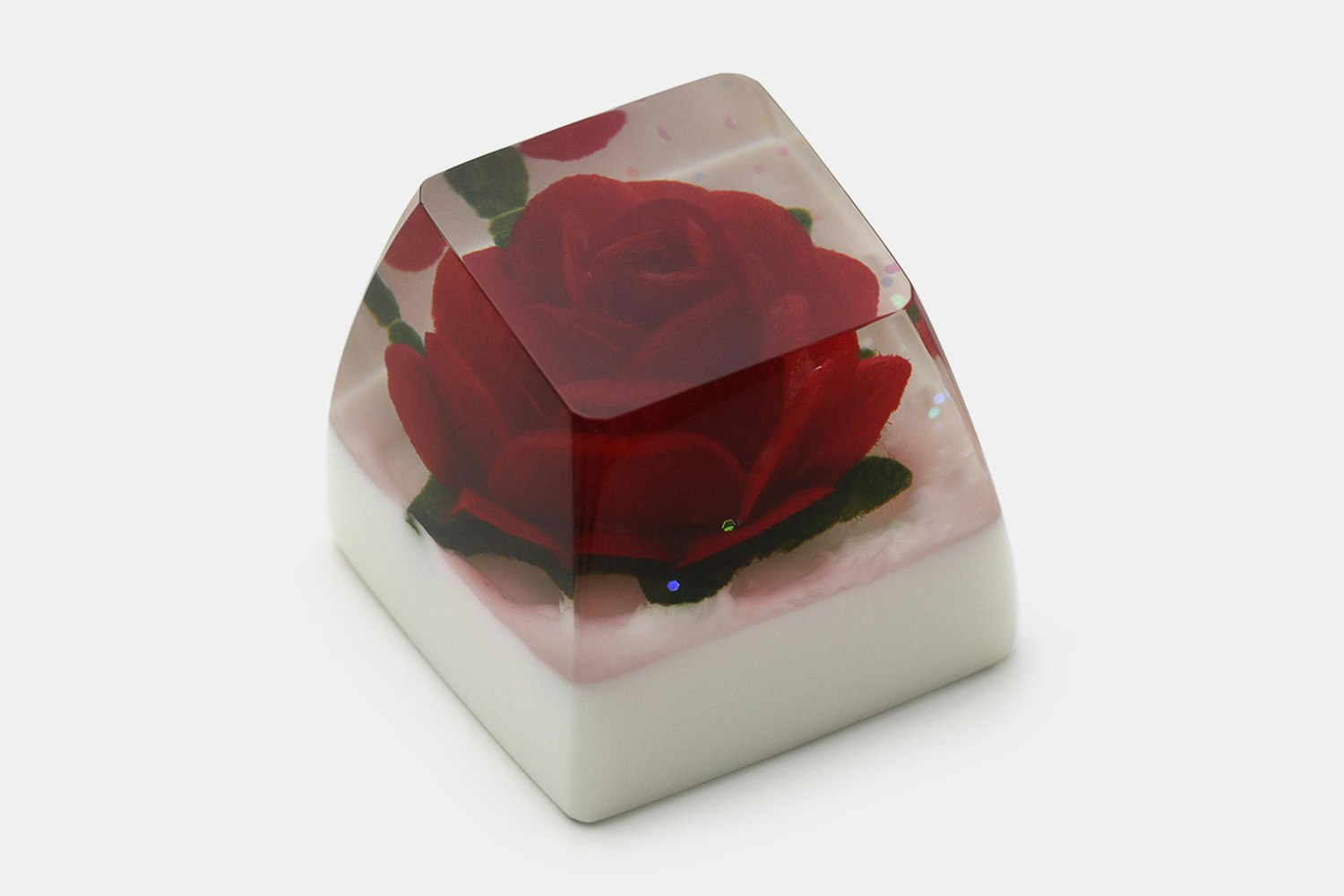 SA R1 - Rosa Chinensis