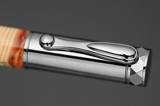 Tree Ring Natural History Fountain Pen