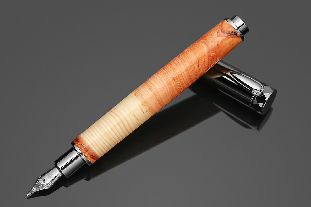 Tree Ring Natural History Fountain Pen
