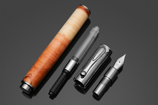 Tree Ring Natural History Fountain Pen