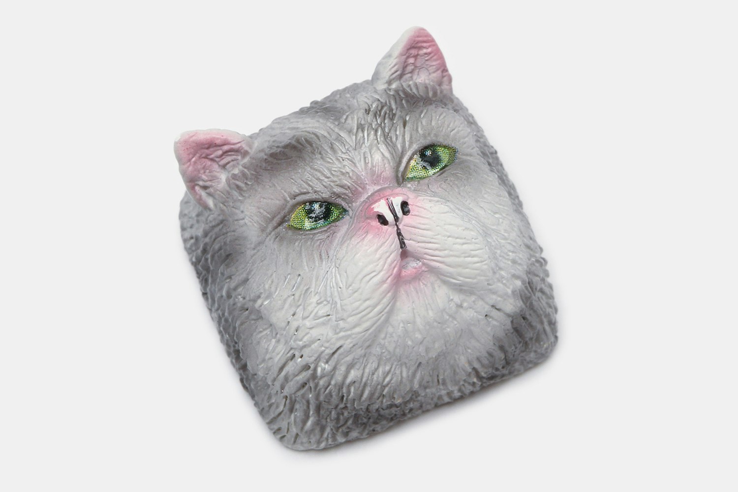 Bryan (Silver Tabby)