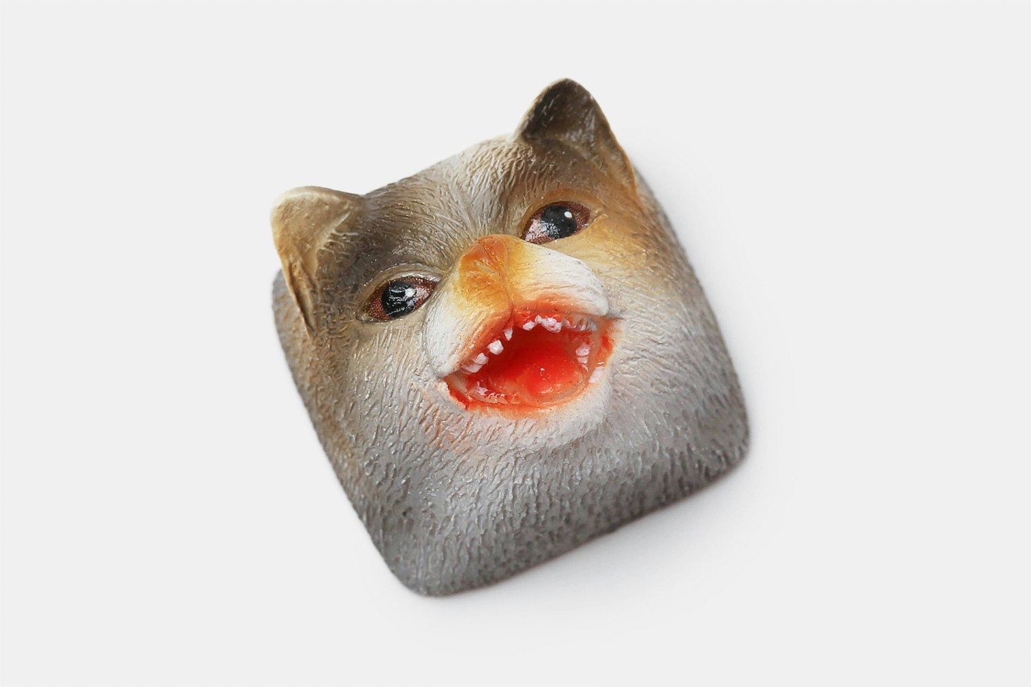 Misty (gray with white)