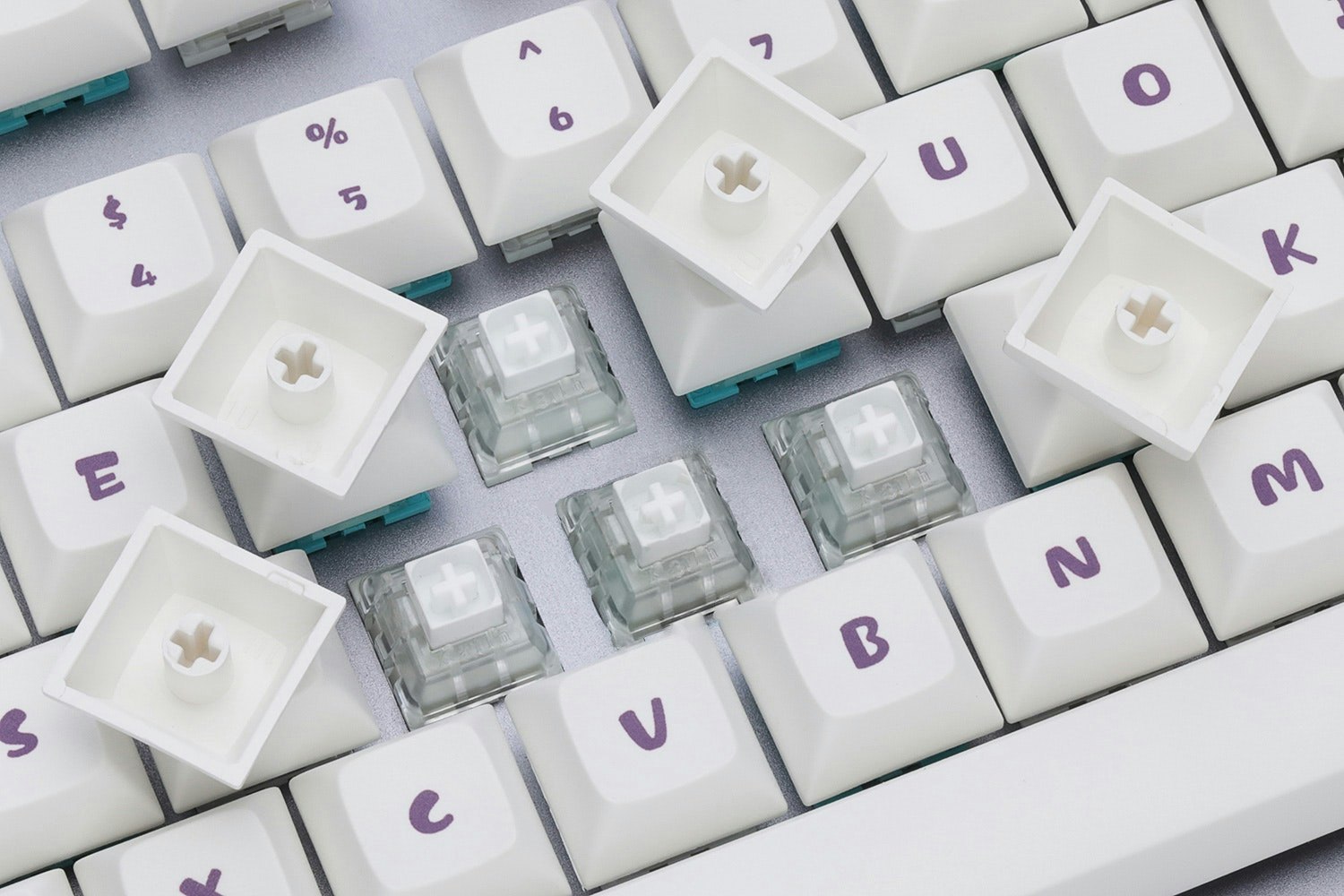 WM DSA Cup Cat PBT Dye-subbed Keycap Set