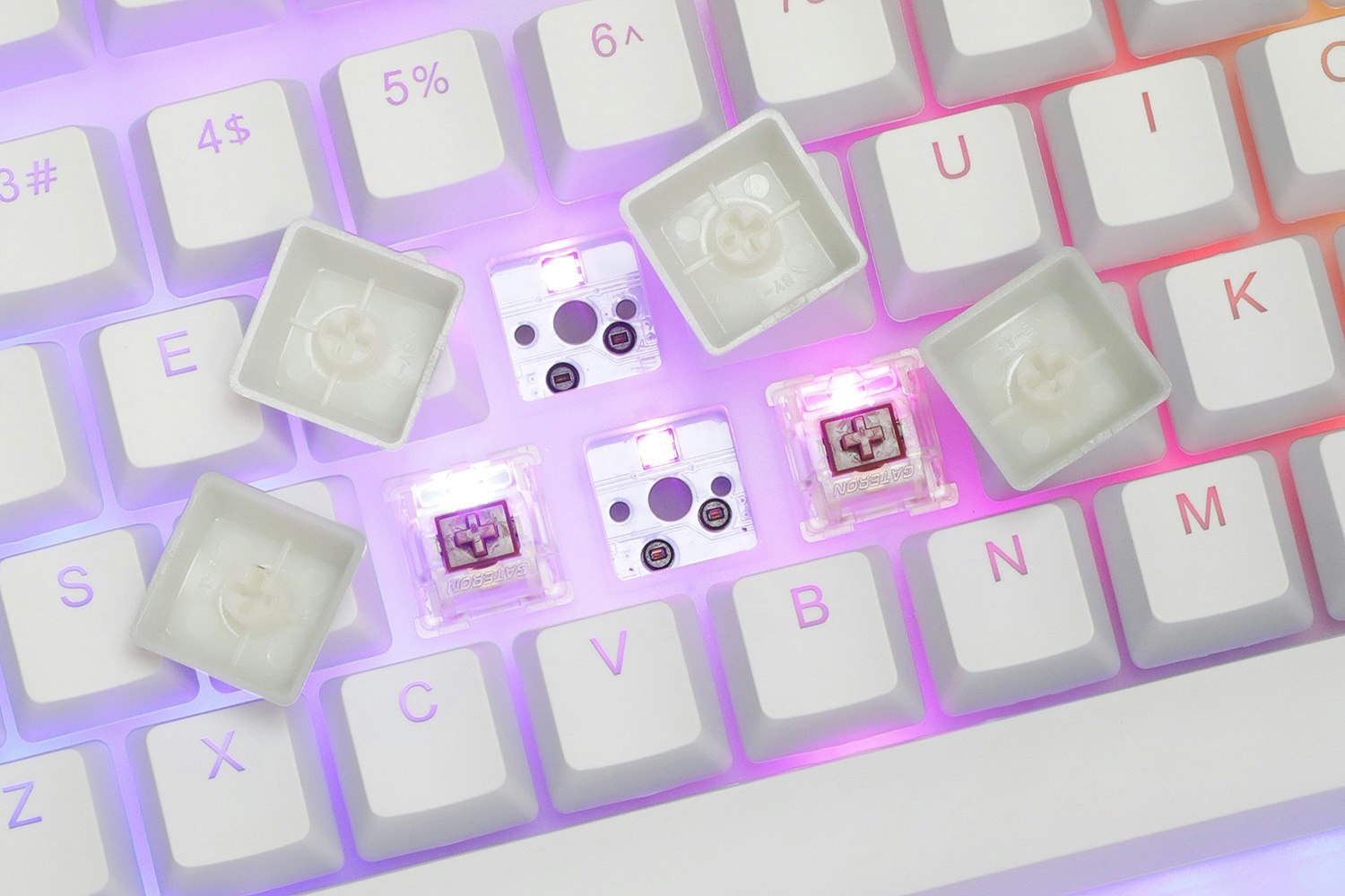 Womier TKL RGB HotSwappable Acrylic Mechanical Keyboard Mechanical