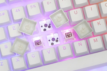 Womier TKL RGB Hot-Swappable Acrylic Mechanical Keyboard
