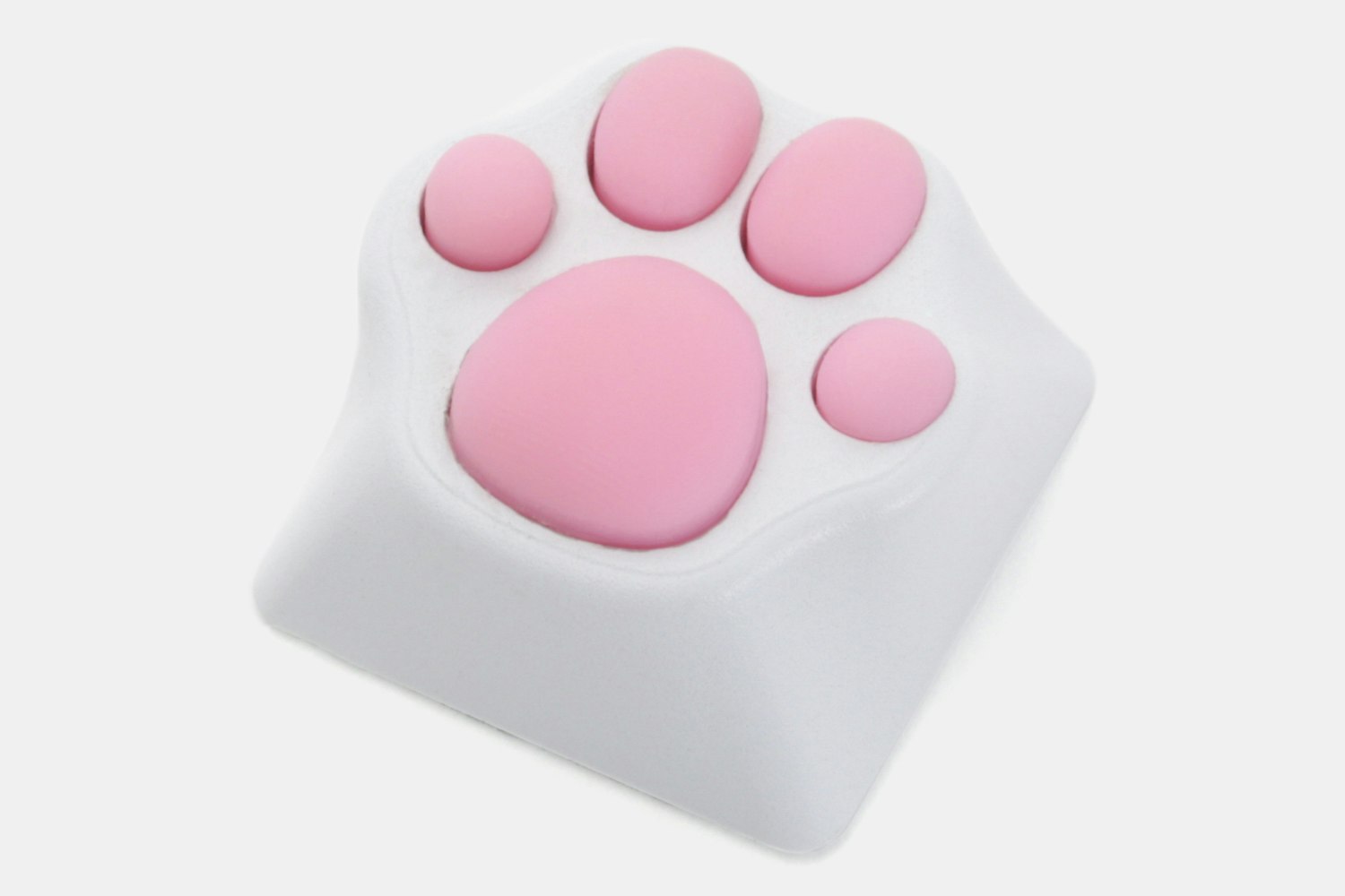 White – pink paw