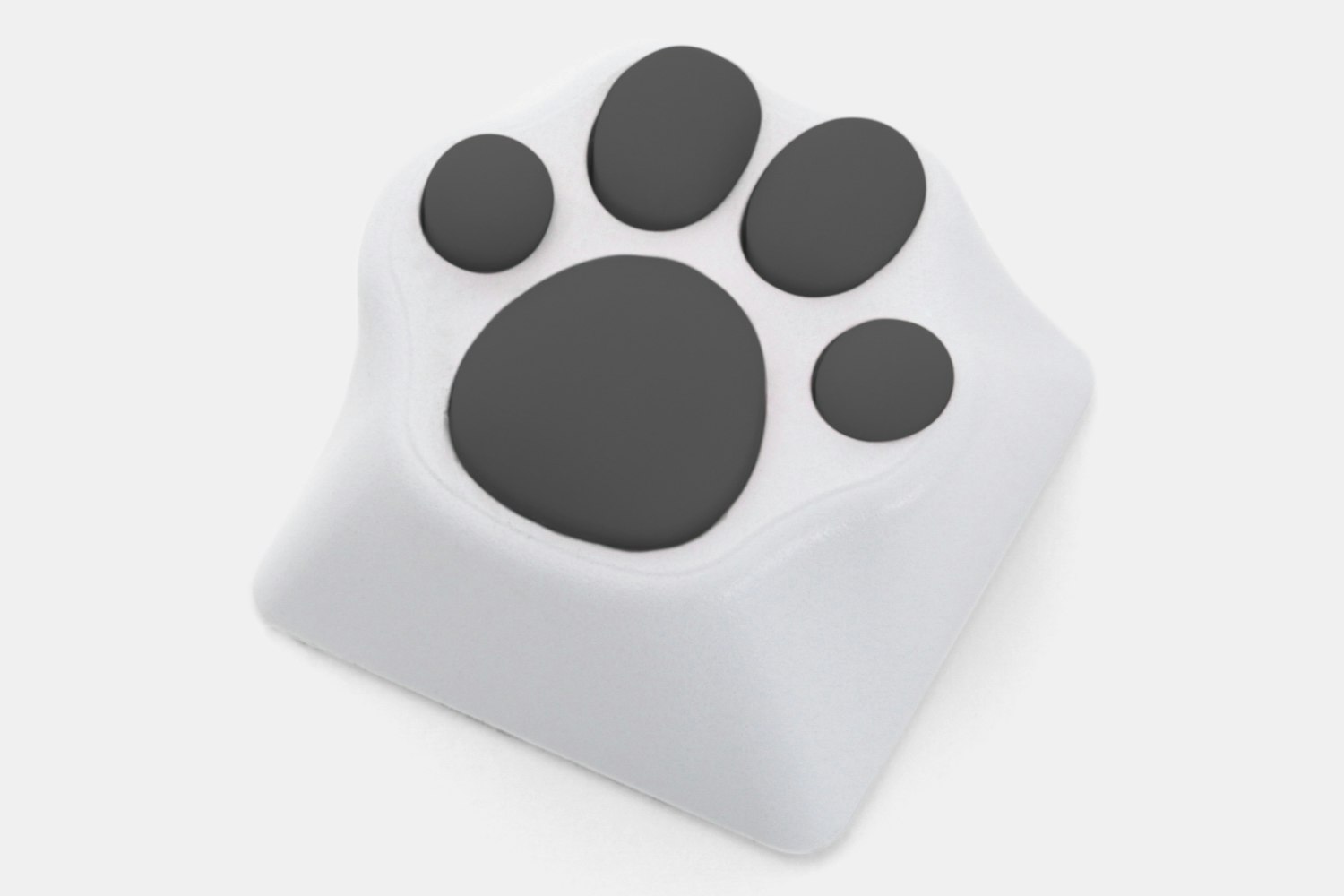White – gray paw