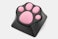 Black – pink paw