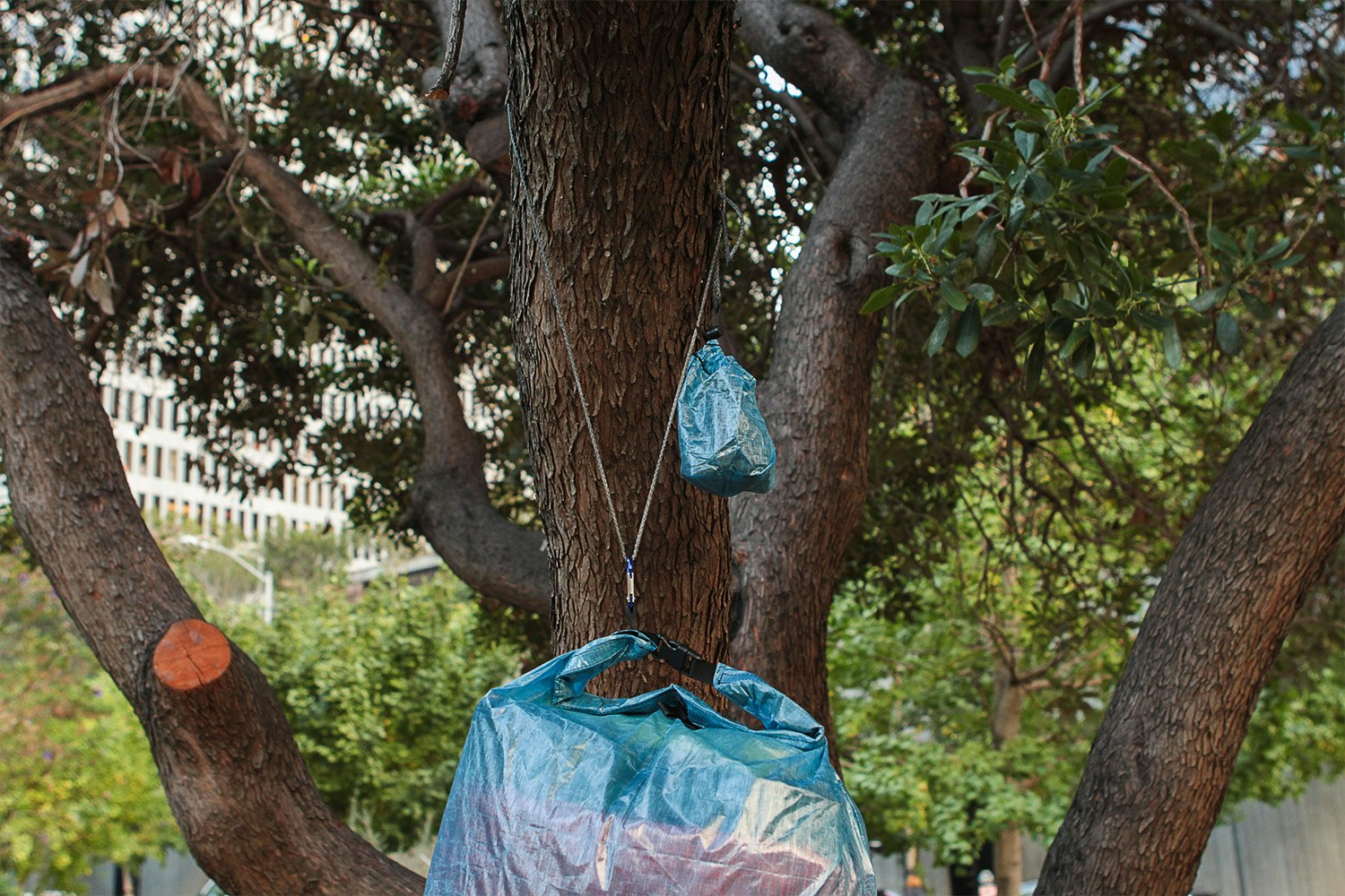 ZPacks Bear Bag Kit Backpacks Daypack Backpacks Drop